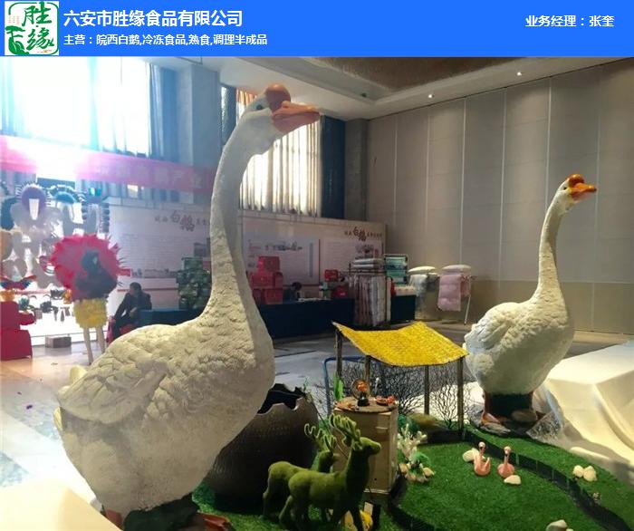 熱烈慶祝2019皖西白鵝美食節(jié)取得圓滿成功！